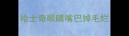 哈士奇眼睛嘴巴掉毛烂