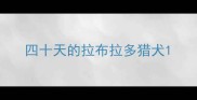 四十天的拉布拉多猎犬