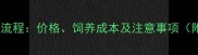 金毛犬购买全流程价格饲养成本及注意事项附最新数据