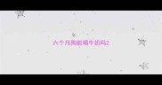 六个月狗能喝牛奶吗