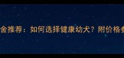 南充拉布拉多犬舍推荐如何选择健康幼犬附价格参考与防坑指南