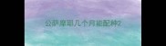 公萨摩耶几个月能配种