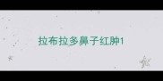 拉布拉多鼻子红肿