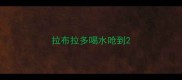 拉布拉多喝水呛到
