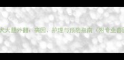 拉布拉多犬大腿外翻病因护理与预防指南附专业兽医建议