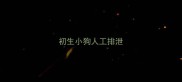 初生小狗人工排泄