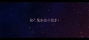 拉布是条拉布拉多
