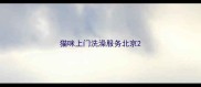 猫咪上门洗澡服务北京