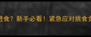 五个月小猫疯狂进食新手必看紧急应对挑食贪吃异食癖全攻略