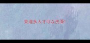 泰迪多大才可以洗澡