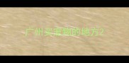 广州买宠物的地方