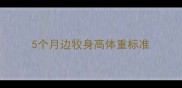 5个月边牧身高体重标准
