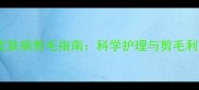 边牧皮肤病剪毛指南科学护理与剪毛利弊全
