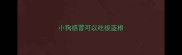 小狗感冒可以吃板蓝根