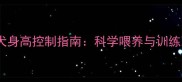 边境牧羊犬身高控制指南科学喂养与训练双管齐下