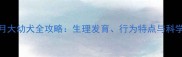 贵宾犬2个月大幼犬全攻略生理发育行为特点与科学养护指南