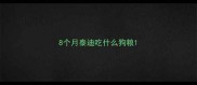 8个月泰迪吃什么狗粮