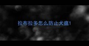 拉布拉多怎么防止犬瘟