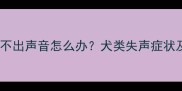 北京狗狗嗓子发不出声音怎么办犬类失声症状及家庭护理指南