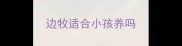 边牧适合小孩养吗