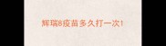 辉瑞8疫苗多久打一次