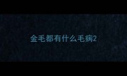 金毛都有什么毛病