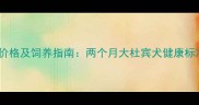 杜宾犬幼犬出售价格及饲养指南两个月大杜宾犬健康标准与领养全攻略