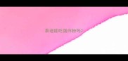 泰迪能吃蛋白粉吗