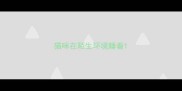 猫咪在陌生环境睡着