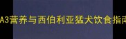 哈士奇能吃A3饲料吗A3营养与西伯利亚猛犬饮食指南附科学喂养方案
