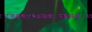 金毛梳毛技巧大公开正确梳毛让毛发顺滑皮肤健康附详细步骤和注意事项