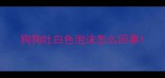 狗狗吐白色泡沫怎么回事