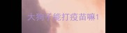 大狗子能打疫苗嘛