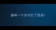 猫咪一个多月打了疫苗