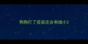 狗狗打了疫苗还会有细小