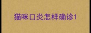 猫咪口炎怎样确诊