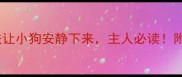 5个科学方法让小狗安静下来主人必读附训练全攻略