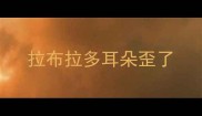 拉布拉多耳朵歪了