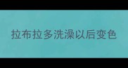 拉布拉多洗澡以后变色