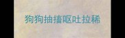 狗狗抽搐呕吐拉稀