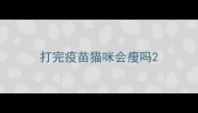 打完疫苗猫咪会瘦吗