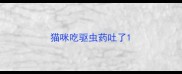 猫咪吃驱虫药吐了
