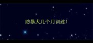 防暴犬几个月训练