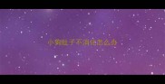 小狗肚子不消化怎么办