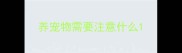 养宠物需要注意什么