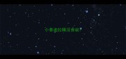 小泰迪拉稀没食欲