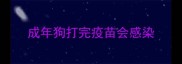 成年狗打完疫苗会感染