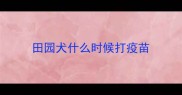 田园犬什么时候打疫苗