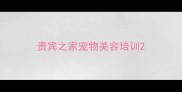 贵宾之家宠物美容培训