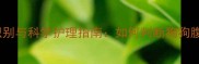 金毛肠道感染症状识别与科学护理指南如何判断狗狗腹泻呕吐并有效应对